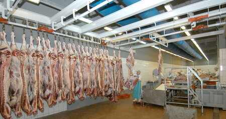 Дезинсекция на мясокомбинате в Красногорске, цены на услуги