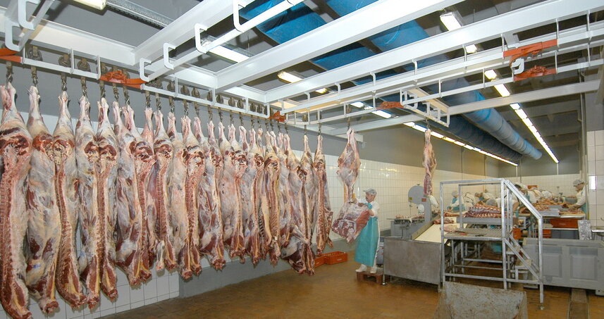 Дезинсекция на мясокомбинате в Красногорске, цены на услуги